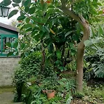 San Renato House