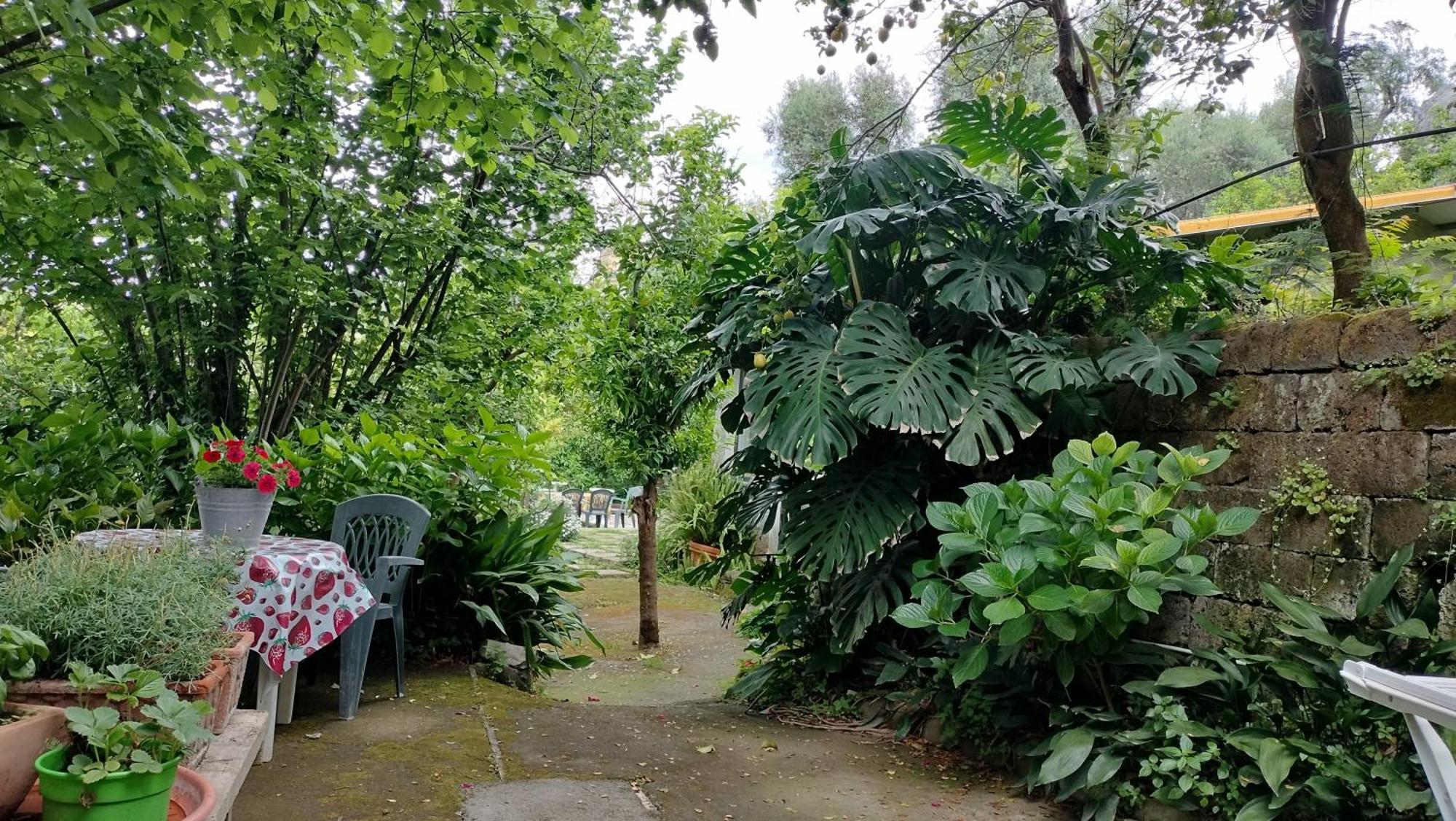 San Renato House Sorrento