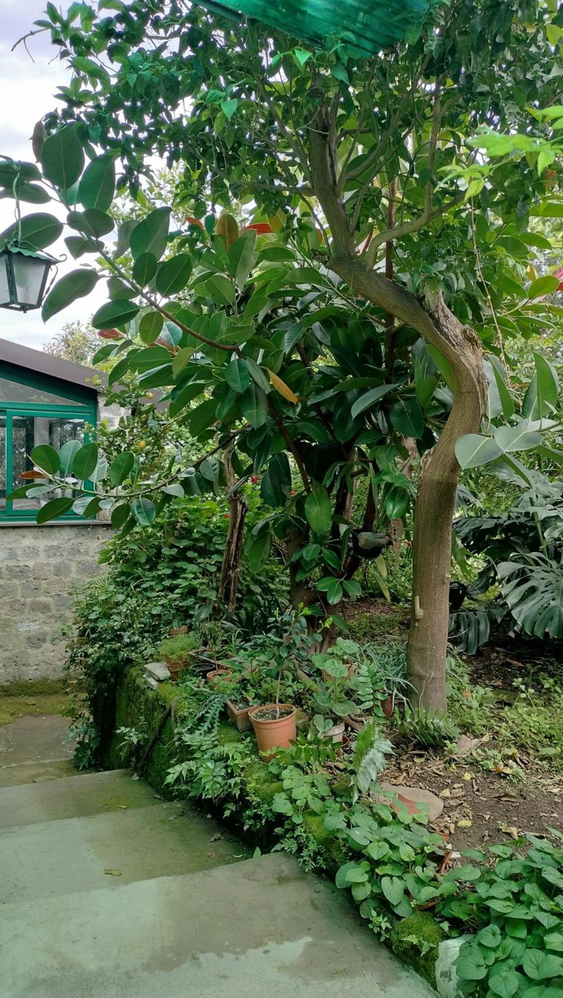 San Renato House Apartment Sorrento