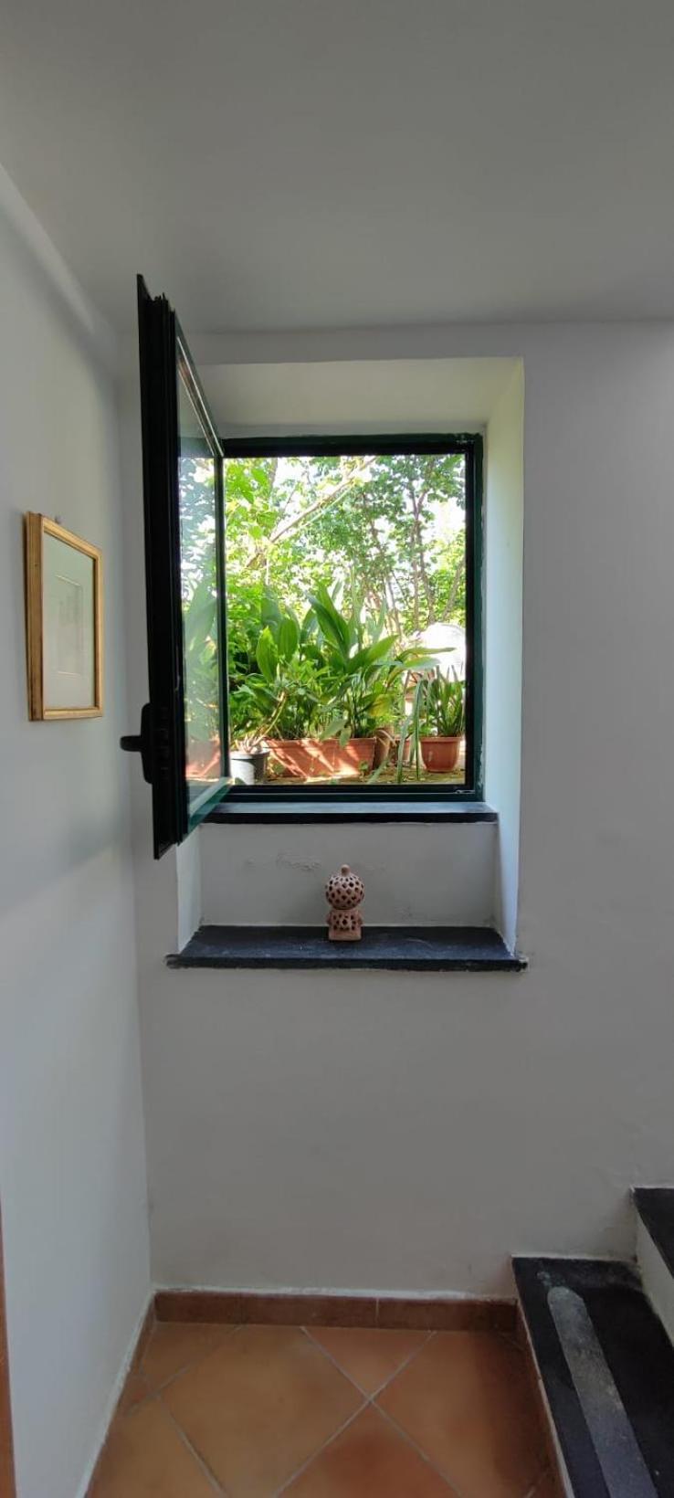 Apartment San Renato House